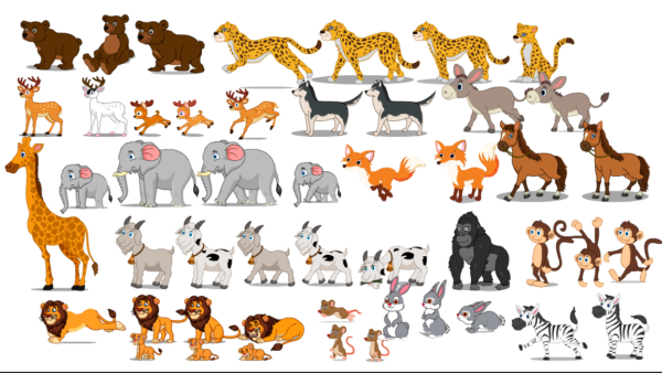 Adobe Animate CC Aimals Bundal Sell: Ultimate Guide for Beginners & Pros