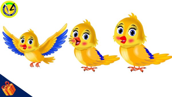 Adobe Animate CC Tuni Bird Rigged Character Download – Multi Pose & Fully Colorized | FreeToon.in