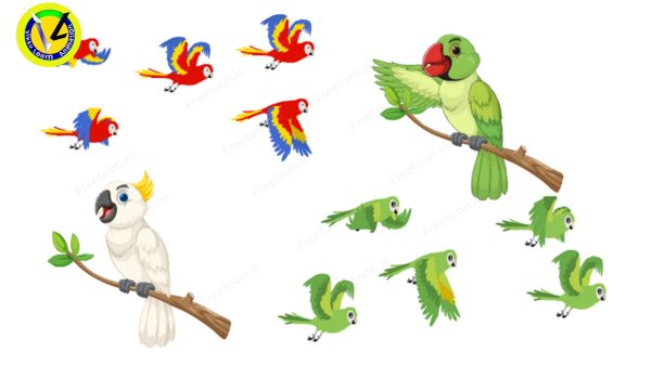 Adobe Animate CC Premium Parrot Flying Animation Cartoon Character Download | FreeToon
